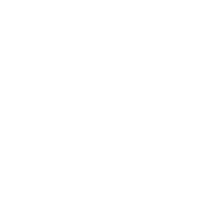 Icon welcher Safewheel